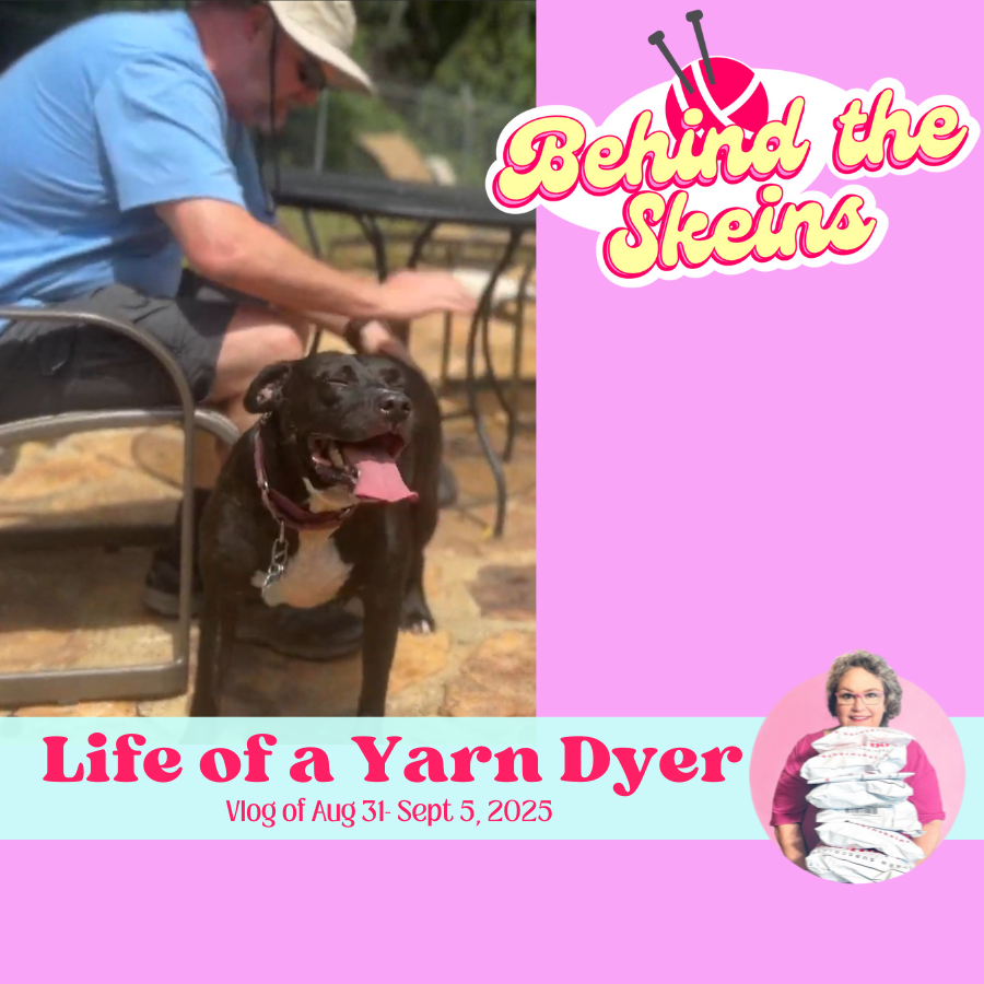 Life of a Yarn Dyer