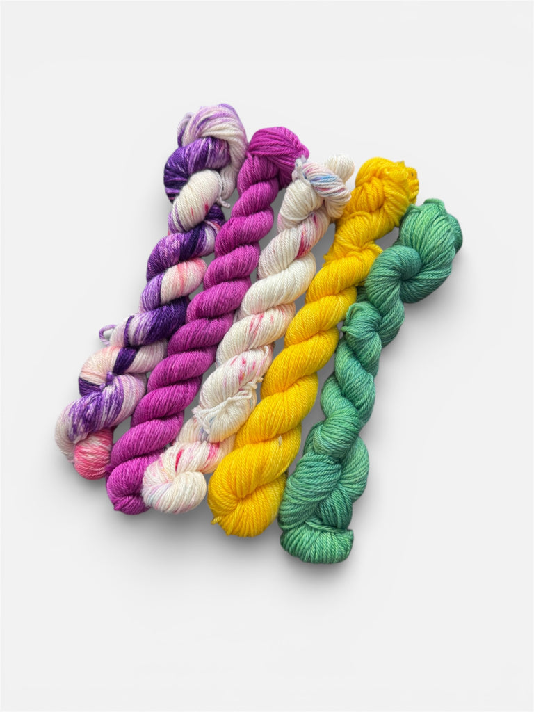 Color Flight Mini Skein Sets - Ready to Ship