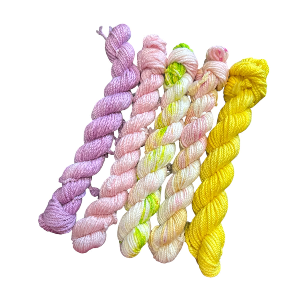 Color Flight Mini Skein Sets - Ready to Ship