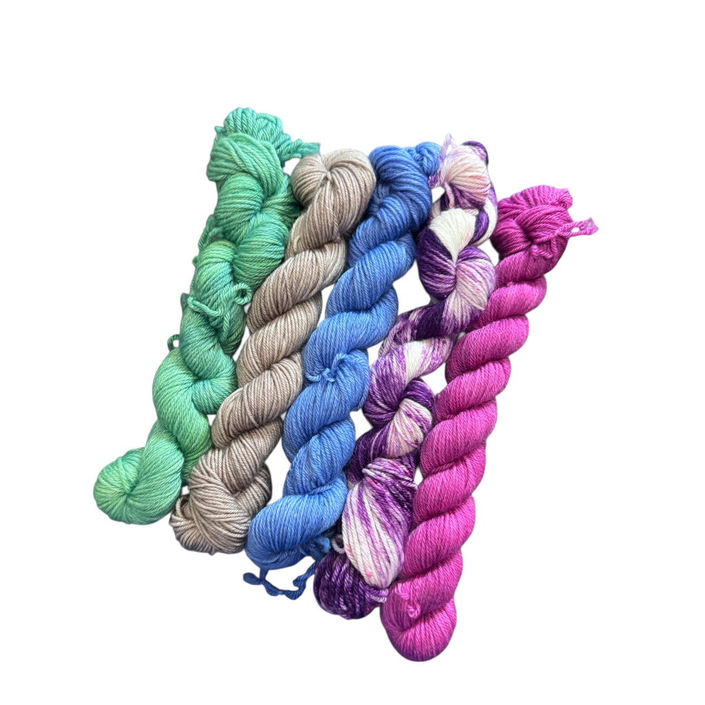 Color Flight Mini Skein Sets - Ready to Ship